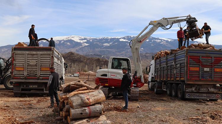 Erzurumdan depremzedelere 150 ton yakacak odun