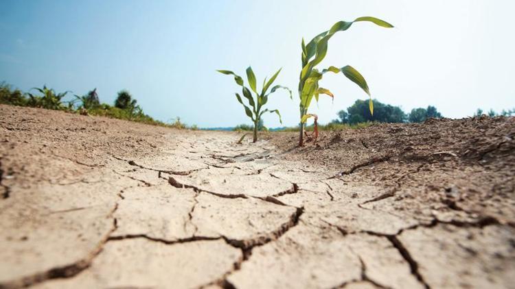 Uzmanlar temmuz için uyarı yapıyor: Kurak baharın maliyeti büyük olacak