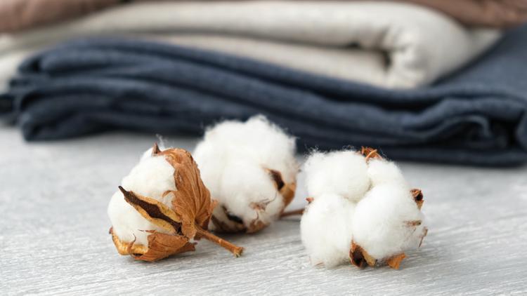 Tekstilde su alarmı: Kuraklık ve depremden olumsuz etkilenen pamuk üretimi tekstil ithalatını artırabilir