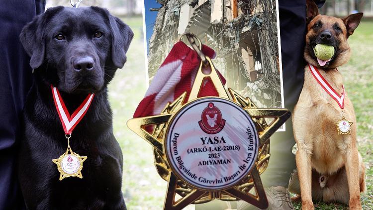 Arama köpekleri 78 kişiyi kurtardı TSK’nın sessiz kahramanları madalya ile ödüllendirildi