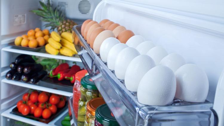 Dikkat, buzdolabınız sizi hasta edebilir | Yeni araştırma korkuttu: Tam 1,8 milyon bakteri barındırıyor