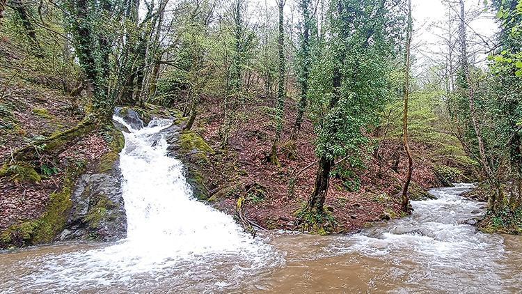 Kuraklık alarmı veren Kazdağlarından sevindiren görüntü