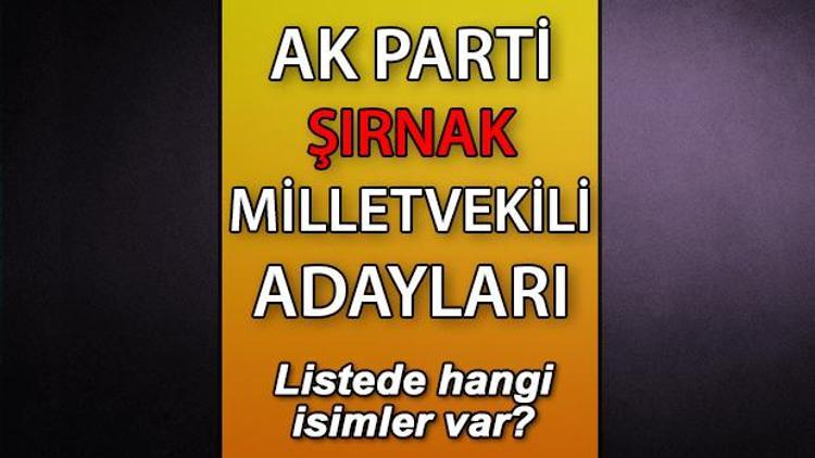 AK Parti Şırnak milletvekili adayları kimler AK Parti Şırnak aday listesi 2023