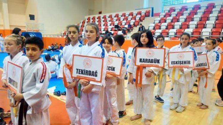 Okul Sporları Küçükler Judo Grup Müsabakaları Akçakocada tamamlandı