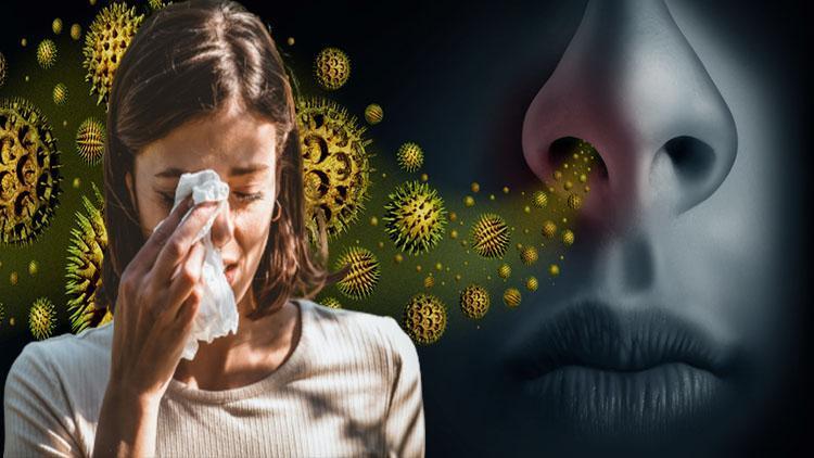 Bahar alerjisi artık daha güçlü ‘Şiddetli bulgularla ilk defa başvuran hastamız çok fazla | 7 SORU 7 YANIT