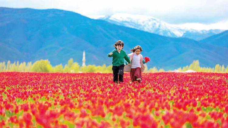 Muş Ovası’nda Lale Devri