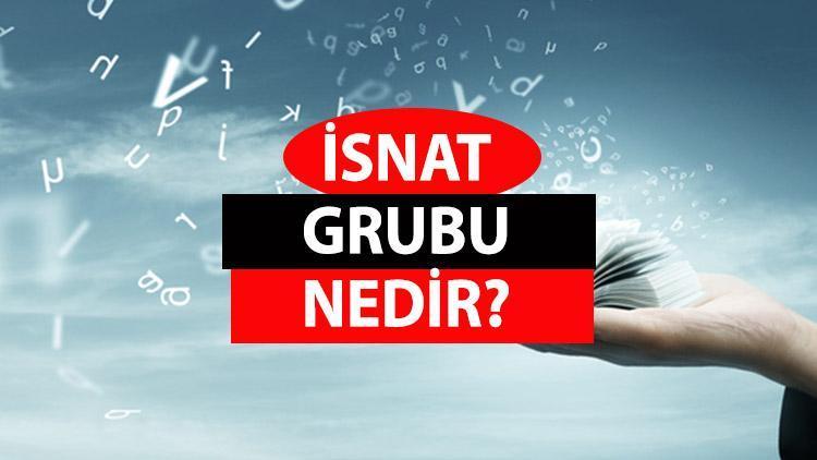 İsnat grubu nedir İsnat grubu ne demek İşte, tanımı ve cümle içerisindeki örnekleri