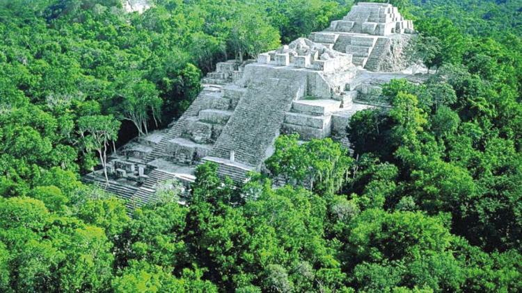 3 bin yıllık keşif... Ormanda gizli 417 maya şehri