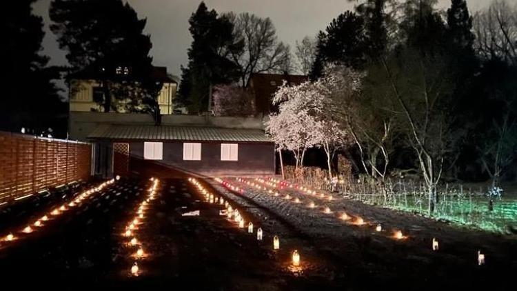 Polonyada 128 kişilik toplu mezar bulundu
