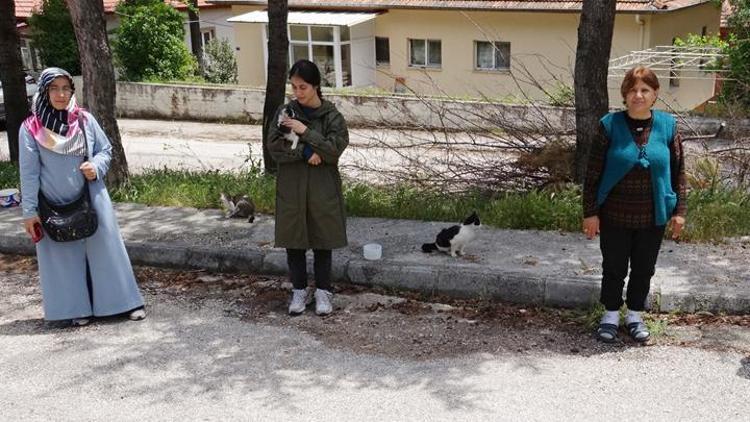 Mahallelinin beslediği kedi, ayakları kesilmiş halde ölü bulundu