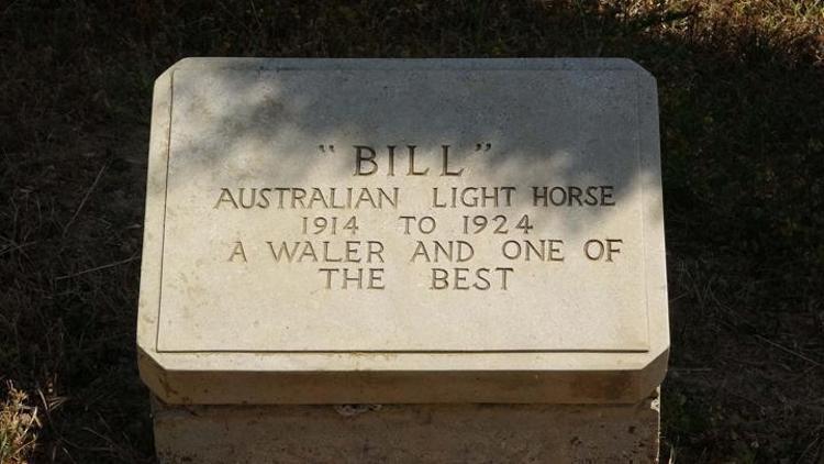 Çanakkale Savaşlarında adına mezar taşı olan tek savaş atı: Bill