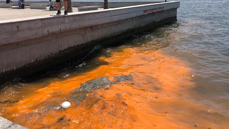 İzmir Körfezinde kırmızı- turuncu renk uyarısı