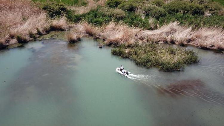 Jandarmanın dron ve botlu nöbeti ile Van Gölündeki inci kefali stoku 50 bin tona çıktı