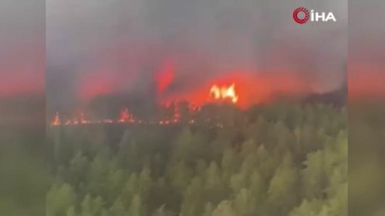 Kazakistan’da orman yangını: 3 kişi öldü, 30 bin hektar alan kül oldu