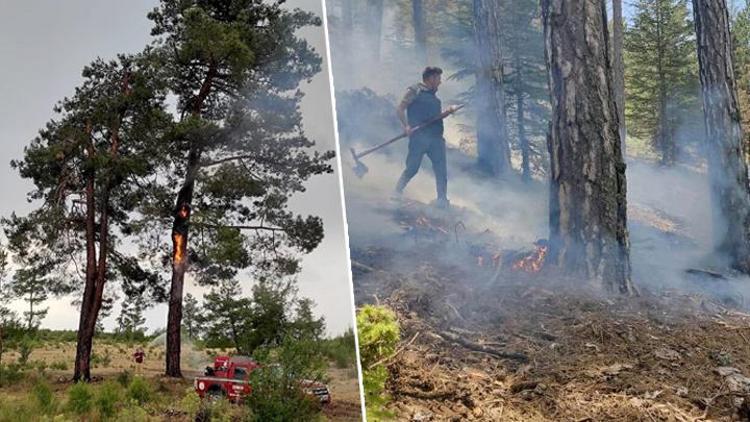 Muğlada 1,5 ayda düşen yıldırımlar nedeniyle 28 orman yangını çıktı
