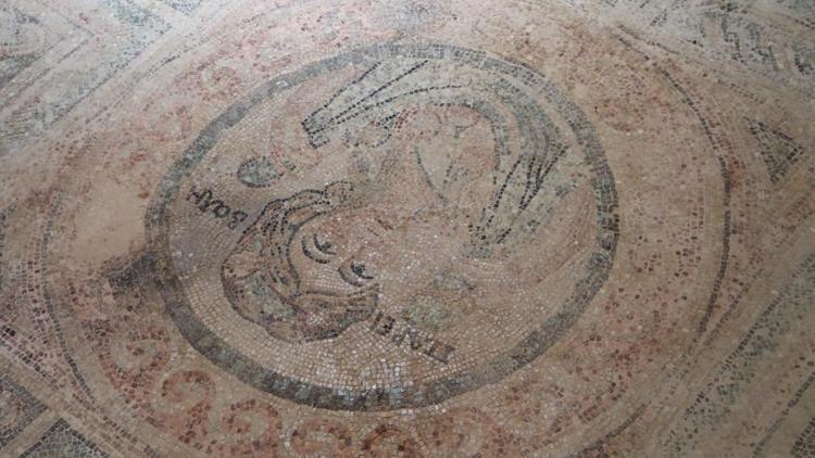 1700 yıllık Bereket Tanrıçası mozaiği Amasya Arkeoloji Müzesinde