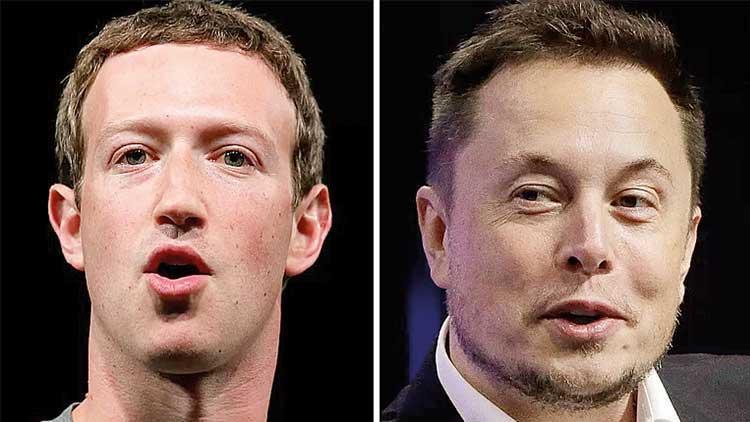 Elon Musk’tan Zuckerberg’e: Gel kafes dövüşü yapalım
