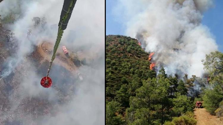 Orman yangınının nedeni yakılan ceset çıkmıştı: Delil yetersizliğinden serbest
