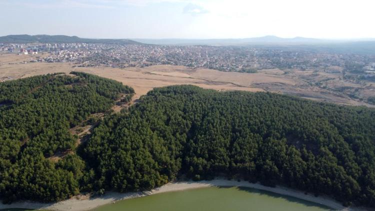 Valilik duyurdu... Edirnede ormanlara girişler 15 Ekime kadar yasaklandı
