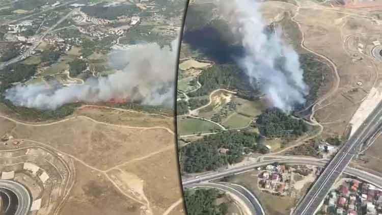 İzmirdeki orman yangını 3 saatte kontrol altına alındı