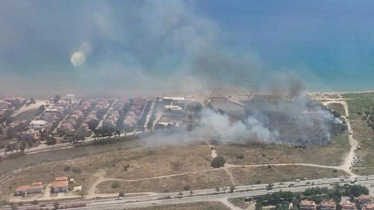 İzmirde sazlık yangını