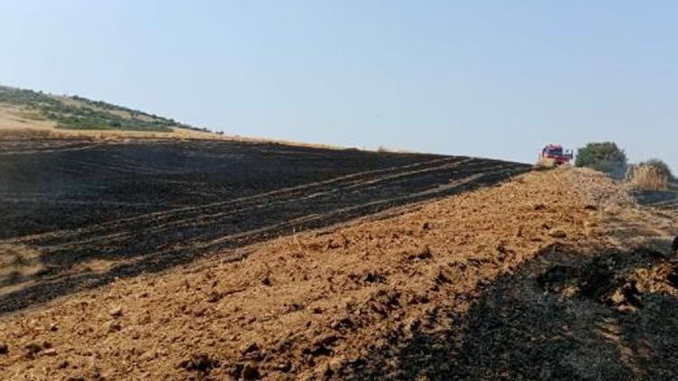 Çanakkalede tarım arazisinde yangın: 1 hektar alan kül oldu