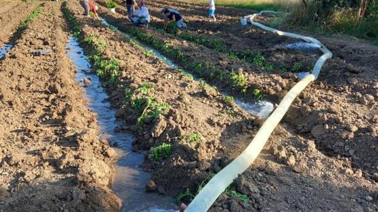 YK Enerji, Milasta bin dönümlük tarım arazisinin sulama sorununu çözdü