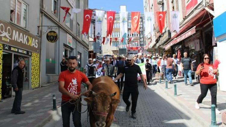 Kafkasörde boğa güreşleri heyecanı