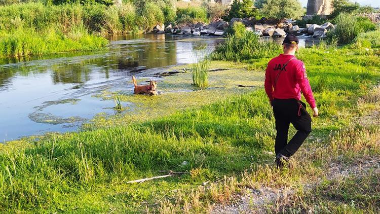 Korhan Berzegi arama çalışmalarında150 kilometrekarelik alan incelendi