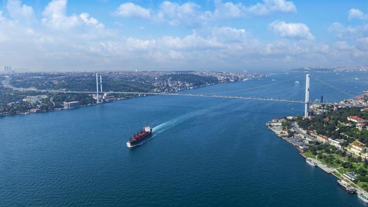 Marmara Denizi’nde plankton patlaması Plankton patlaması nedir, neden olur