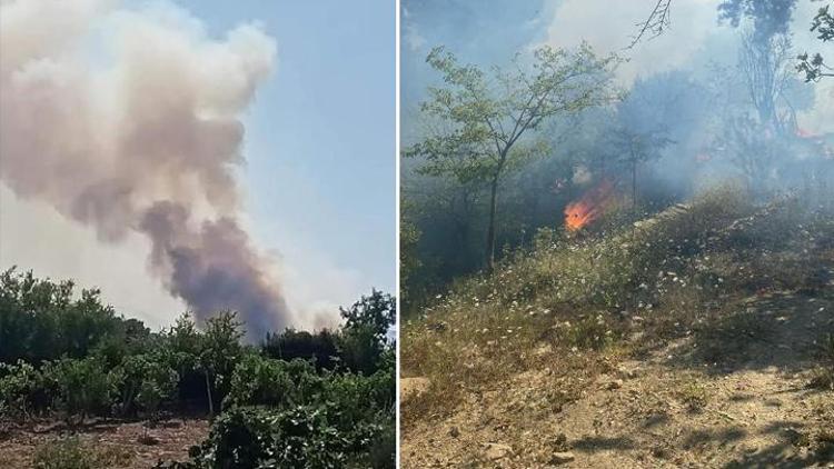 Adanana Karaisalı ve Kozanda orman yangını: Kontrol altına alındı