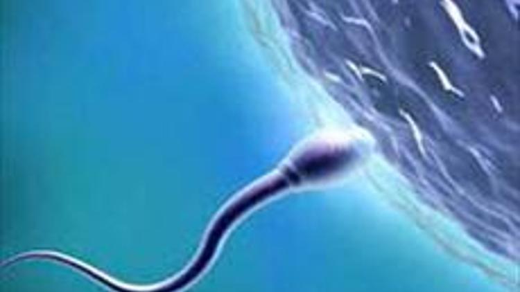 Küresel ısınma sperm kalitesini bozuyor