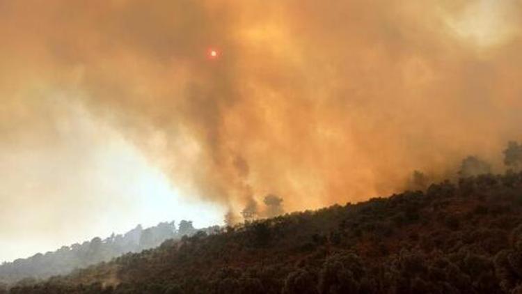 Bakan Yumaklıdan Milastaki yangına ilişkin açıklamalar