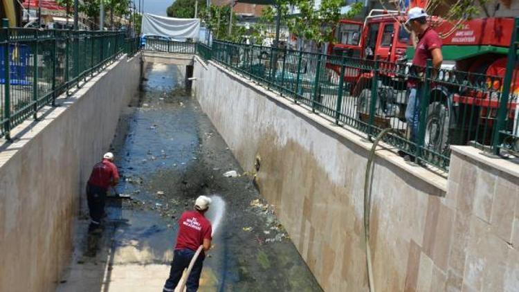 Aydında Kocababa Deresi temizlendi