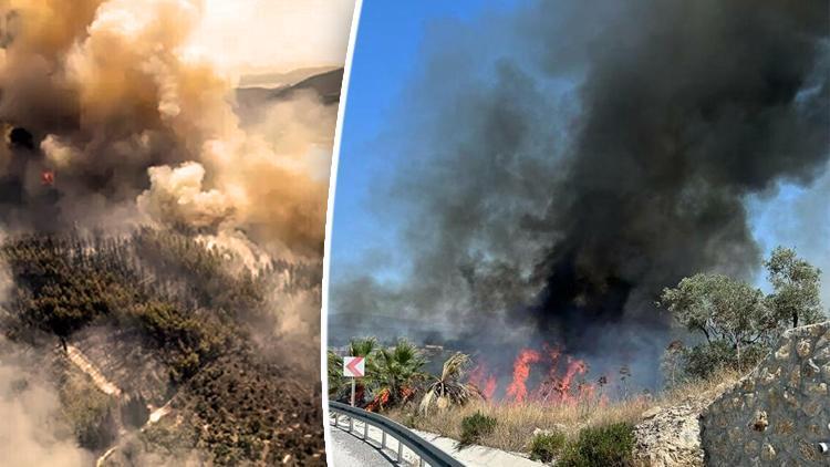 Muğlanın Milas ilçesinde 160 hektar alan kül olmuştu Yangının çıkış sebebi pes dedirtti