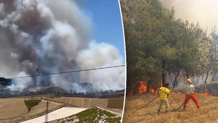 Adanada orman yangını: Havadan ve karadan müdahale ediliyor