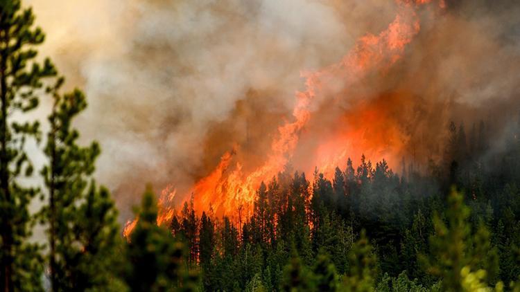 Orman yangınları kontrol altına alınamıyor Kanada alarmda...