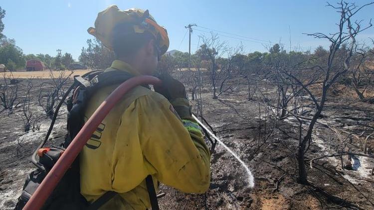 Californiada 4 farklı noktada orman yangını