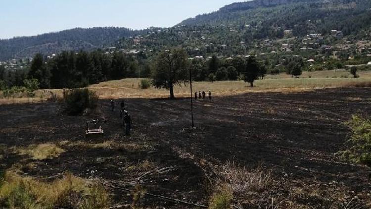 Tarlada çıkan anız yangını söndürüldü