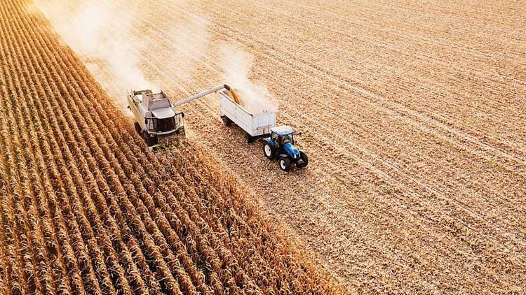 Buğdayda ‘koridor’ tedirginliği Rusya’nın anlaşmadan çekilmesi hasat dönemi sonrası fiyatları yükseltebilir