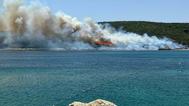 İzmirdeki yangının çıkış nedeni belli oldu