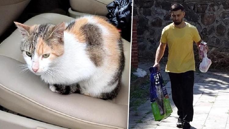 Trabzonda belediyenin bakım merkezinde kedisi öldü, CİMERe başvurdu: Ölen kedimin hakkını savunacağım