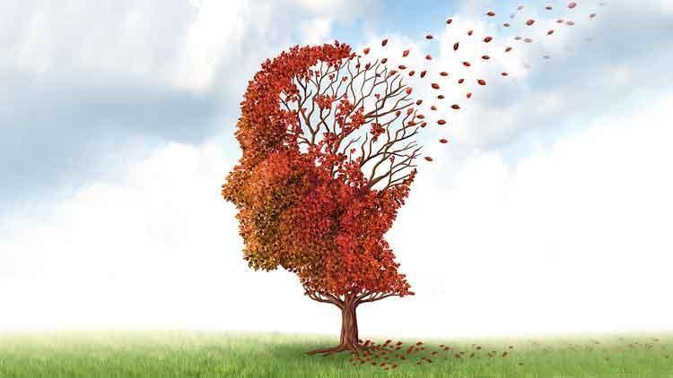 Alzheimer ve MS’te ‘genç’ tehlike