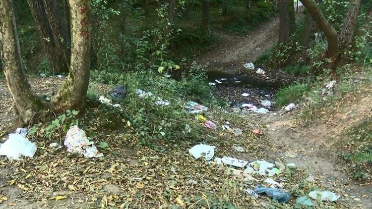 Belgrad Ormanında isyan ettiren görüntü 18 ton çöp toplandı