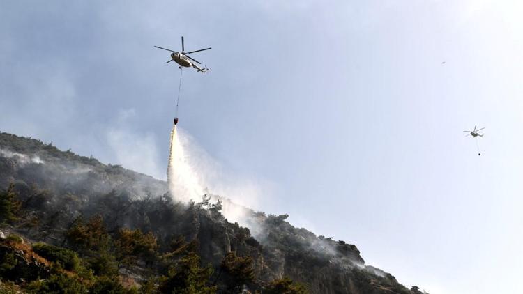 Aydın Söke’deki yangın kontrol altına alındı