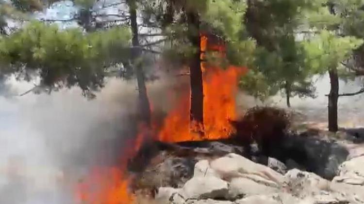 Adıyaman’daki orman yangını söndürüldü