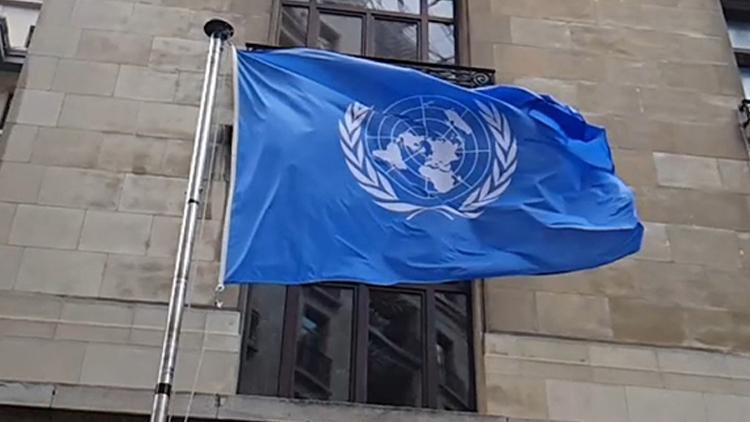 BMden Suriye kararı 13 Kasıma kadar uzatıldı
