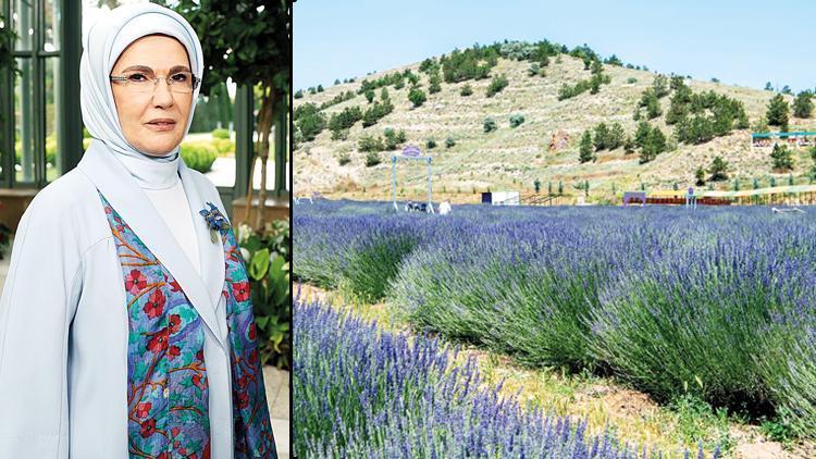 Ankara’nın iki ilçesine lavanta tebriği