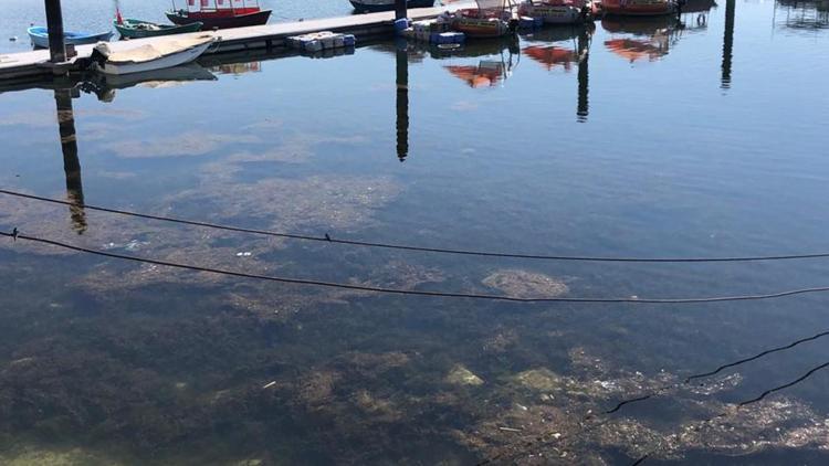 Eğirdir ve Beyşehir gölleri için kritik uyarı: Bir damla dahi su almayın