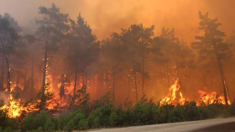 1-9 Ağustos tarihleri arasında 148 orman yangını çıktı 175 hektar alan zarar gördü